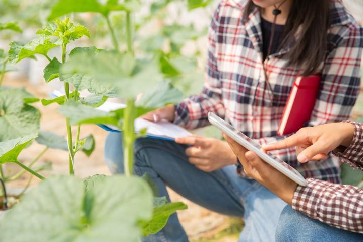 Los incentivos de pueblos de Europa para que teletrabajes en ellos: alquileres a 150 euros, internet de alta velocidad y hasta pagos al contado