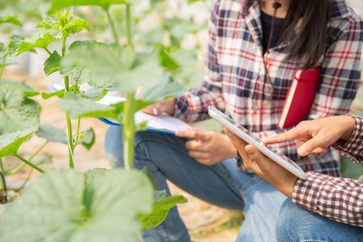 El Ministerio de Agricultura, convoca subvenciones a entidades de mujeres rurales de ámbito nacional